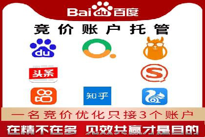 行业领先企业的sem竞价策略：成功案例剖析